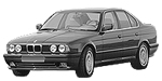 BMW E34 P2852 Fault Code